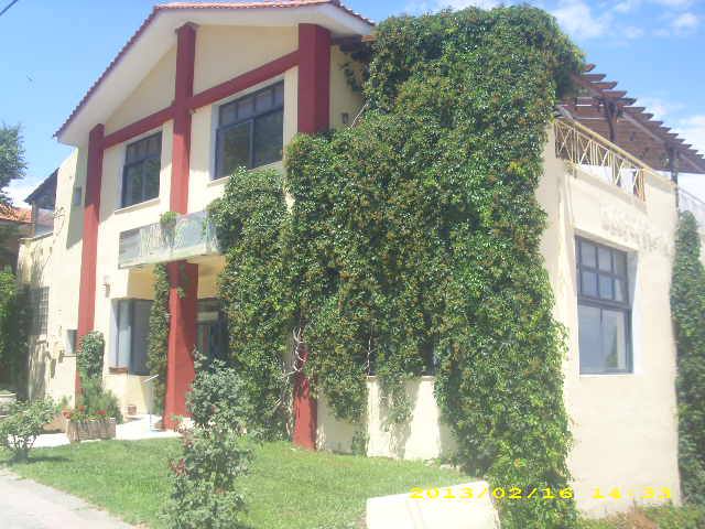 375642_459579417464271_1569583801_n (1).jpg